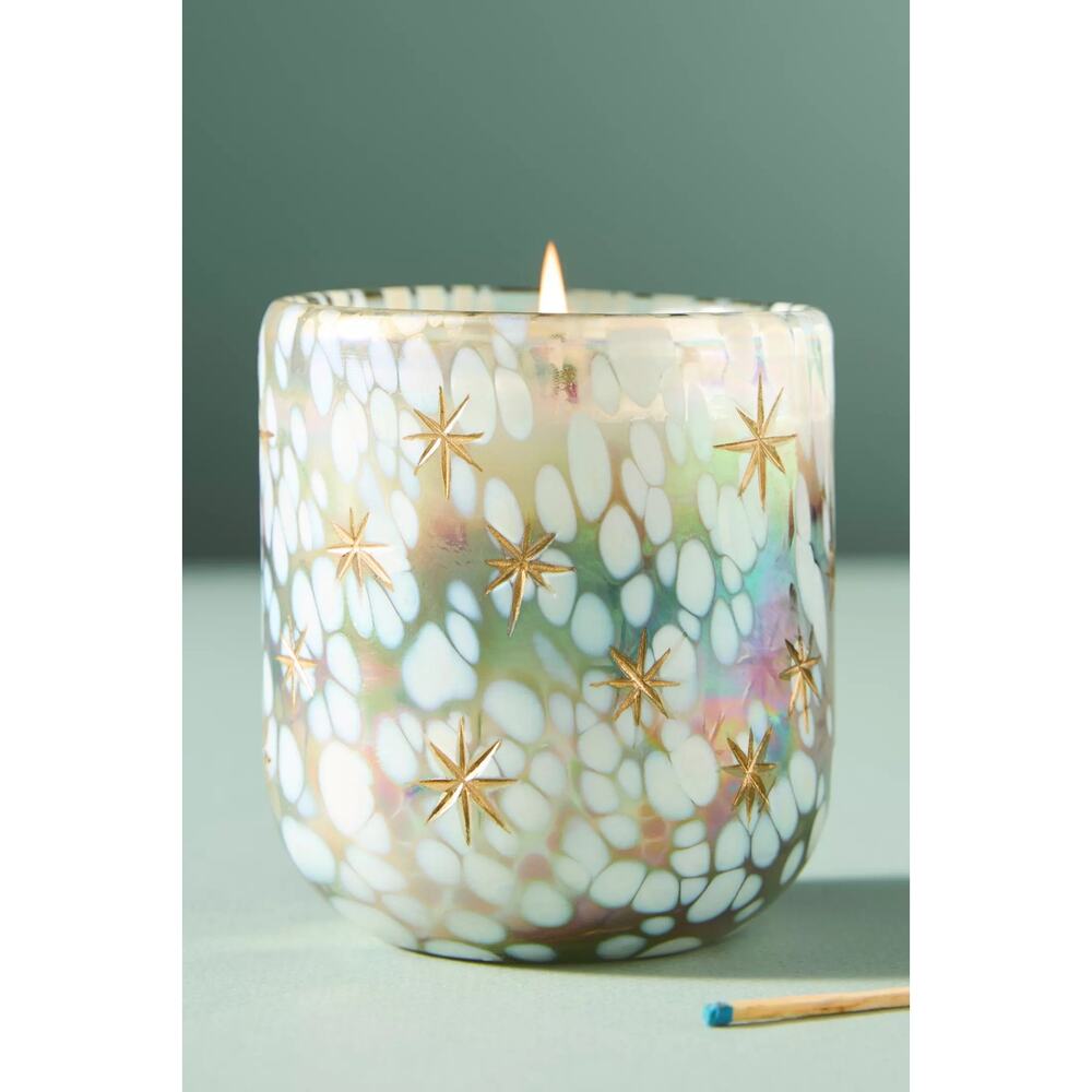 Anthropologie sold out winter woods and vanilla candle 8.8 oz